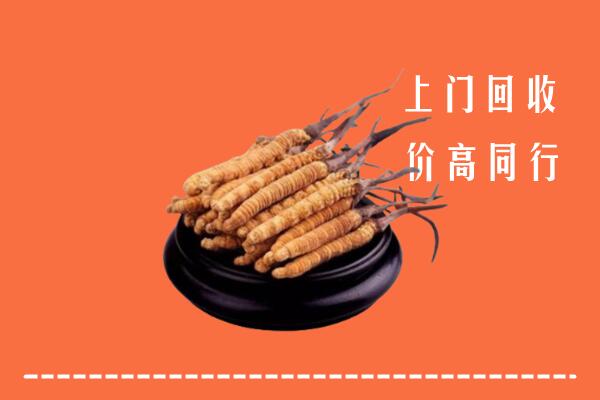 娄底冬虫夏草回收多少钱每克