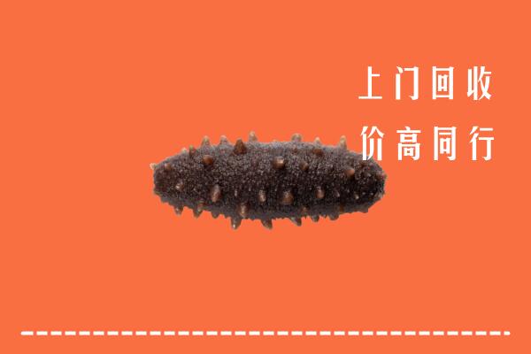 娄底高价回收海参